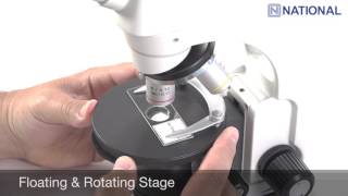 Microscopes 101 Stereo vs Compound [upl. by Ciprian]