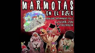 Marmotas en el bar feat Los solidarios  El engaño [upl. by Stroup]