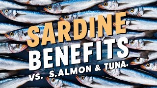 The Amazing Health Benefits of Sardines Fun Facts amp Comparison with Salmon and Tuna [upl. by Anelegna]