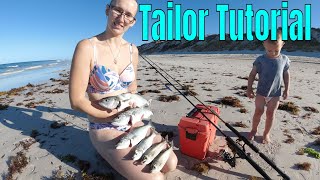 CID success  Tailor Bluefish on lures  Tailor Tutorial [upl. by Natsirc228]