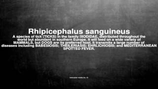 Medical vocabulary What does Rhipicephalus sanguineus mean [upl. by Leira]