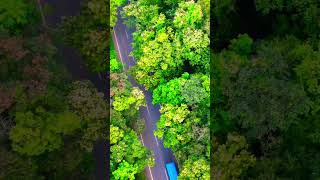 Beautiful malnad roads  Shivamogga  Sagara malnad shivamogga shorts [upl. by Haldane146]