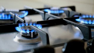 Sky News host slams Victoria’s ‘idiot state government’ for gas ban [upl. by Neelyam]