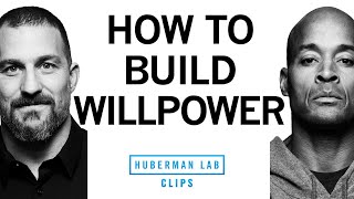 How to Build Willpower  David Goggins amp Dr Andrew Huberman [upl. by Allistir]