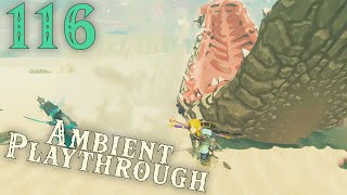 LoZ TotK Ambient 116  Monster and Treasure Hunting in Gerudo [upl. by Olympium131]