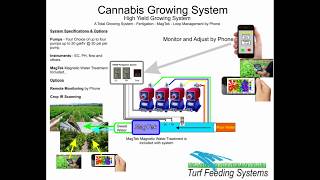 Cannabis fertigation system for High Yield Growing by Turf Feeding Systems [upl. by Ahsaeit]