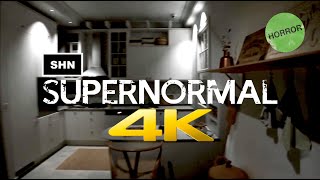 Supernormal  4K60fps  Longplay Walkthrough Gameplay No Commentary [upl. by Dachia377]