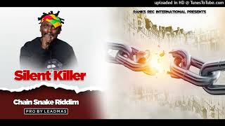 Silent Killer  Ndini Ndirikurira Official Audio [upl. by Aras]