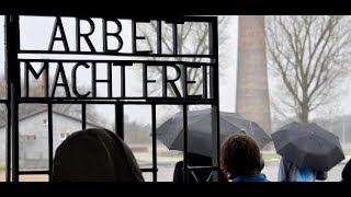 SACHSENHAUSEN AfDGruppe provoziert Besuchsabbruch in KZGedenkstätte [upl. by Noraf]