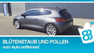 Blütenstaub und Pollen vom Auto entfernen Blütenpollen So werden Sie den Schmutz auf dem Auto los [upl. by Nagaer19]