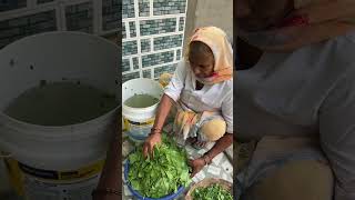 Bachho Ki Farmaish palaksaag villagefood villagekitchen sunilpalvlogs [upl. by Ormond775]