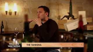 What are tannins in wine [upl. by Nosemaj]