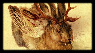 Wolpertinger German Jackalope [upl. by Geldens]