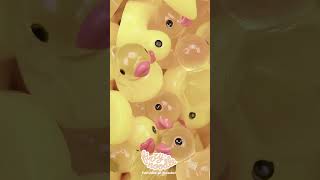 Relaxing ASMR Macro Duckies  Feel the Fizzy [upl. by Enajharas]