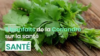 3 bienfaits de la coriandre sur la santé [upl. by Theis]