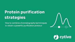 Protein purification strategies [upl. by Naashom228]