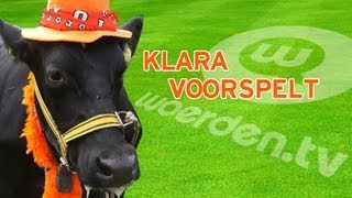 Koe Klara voorspelt Nederland  Denemarken [upl. by Stanleigh]