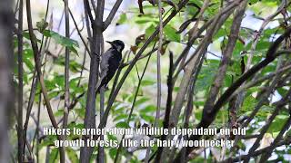 Willapa National Wildlife Refuge hosts bird event in Long Beach [upl. by Hutson]