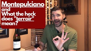 Tasting Montepulciano dAbruzzo and What does terroir mean Wine 25 of 52 [upl. by Thordis]