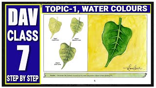 DAV Class 7  FOLIAGE STUDY  TOPIC 1  WATER COLOURS  STEP BY STEP  dav  DAV [upl. by Wivina329]