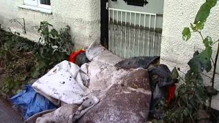 Cathy Newman reports from floodhit Northallerton in North Yorkshire [upl. by Erin]