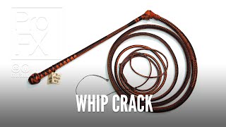 Whip crack sound effect  ProFX Sound Sound Effects Free Sound Effects [upl. by Lewes]