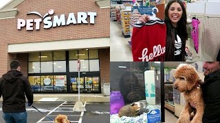 SHOP WITH ME AT PETSMART WITH MY GOLDENDOODLE PUPPY [upl. by Ainoyek]