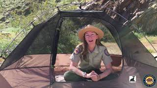 Camping at Anza Borrego Desert State Park [upl. by Devonna317]