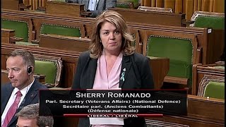 Sherry Romanado says Sajjan statements amount to a grammar mistake [upl. by Roze]