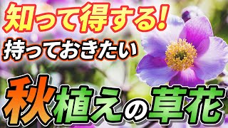 【これ植えて！】秋にこれを植えないと春に後悔します！おすすめ秋冬草花１３選！【園芸チャンネル】【寄せ植え】 [upl. by Ahsocin141]