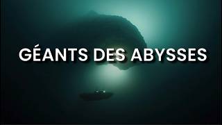 LE GIGANTISME des Abysses pourquoi les grands fonds engendrent des géants [upl. by Joseito113]