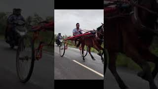 Horse Race In பாடலுர்  Crime Tamil  In Tamilnadu  Rekla [upl. by Emee]