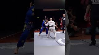 Jiu Jitsu Black Belt vs Judo Black shorts viral trend [upl. by Brosine695]