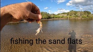 live bait fishing Australia with yabbies fishing australia flathead [upl. by Ebsen]