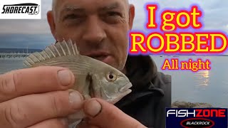 FISHING FOR FREE SESSION with bait poole harbour [upl. by Leagiba]