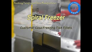 Spiral Freezer Precision Freezing for HighQuality Fish Fillets [upl. by Ecnarepmet]