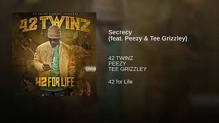 Tee Grizzley  Secrecy feat Peezy 42 Twinz [upl. by Repard]