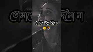 তোমারে আইনা দিলো না 💔🥀 statusvideo sadstatus trandingshort shortsfeed kobitaabritiকাব্যের ঝুড়ি [upl. by Candice]