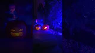 Harmony Grove Halloween homes Escondido CA travel halloween lyfesatrip [upl. by Clevey]