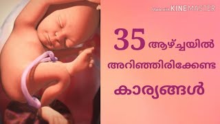 What to expect in 35 week pregnancy in malayalam [upl. by Nireil]