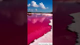 Las Coloradas Mexico shots explore travel [upl. by Querida]