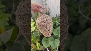 Crochet Wasps Nest [upl. by Ern]