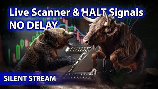 ​🌟Live Scanner Stock Market scanner  Ze Silent Stream voice only 01262024 [upl. by Milks]