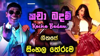 ජනප්‍රියම කචාබදම් ගීතයේ සිංහල තේරුම  Sinhala Kacha Badam Song  kacha badam tiktok hot dance 2024 [upl. by Eniahpets]