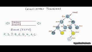 Binary tree Level Order Traversal [upl. by Shuman]