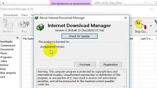 IDM Registration  No Patch No Crack [upl. by Aldredge]