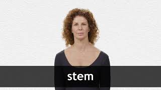 How to pronounce STEM in American English [upl. by Cyrie]