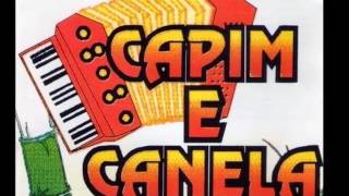 CAPIM E CANELA  Coração partido com letra [upl. by Esmeralda]