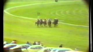 LITTLE BROWN JUG NZ 1980 Canterbury Gold Cup [upl. by Natek]