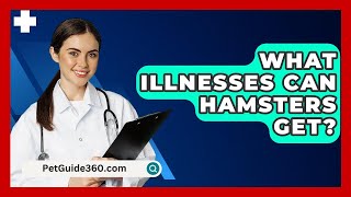 What Illnesses Can Hamsters Get  PetGuide360com [upl. by Corri585]